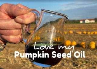 Neuer Kürbiskernöl-Hit: Love my Pumpkin Seed Oil